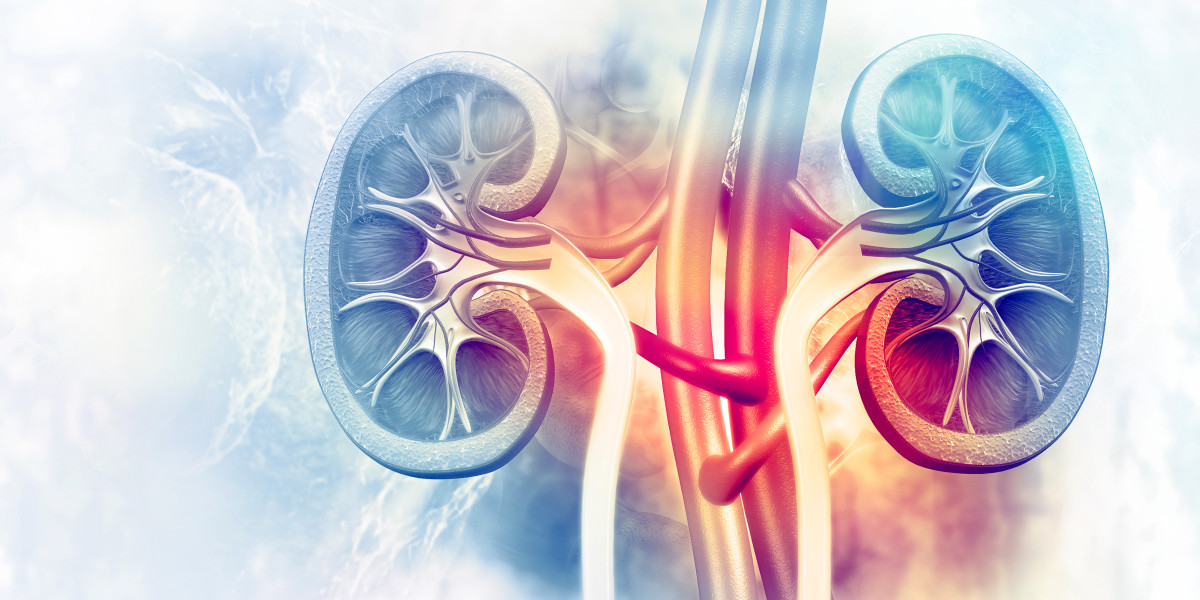 Exploring Lupus Nephritis Insights from Recent Research