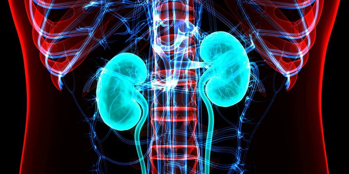 Exploring Lupus Nephritis Insights from Recent Research