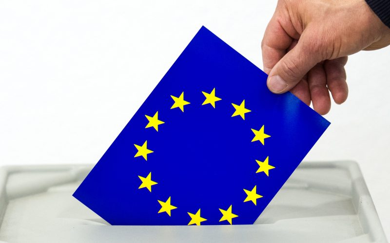 European Parliament Elections: Key Outcomes and Implications