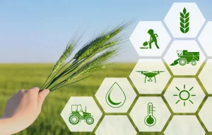 The Role of IoT in Smart Agriculture