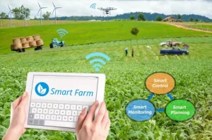 The Role of IoT in Smart Agriculture