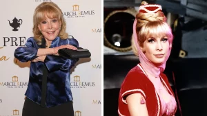 Barbara Eden