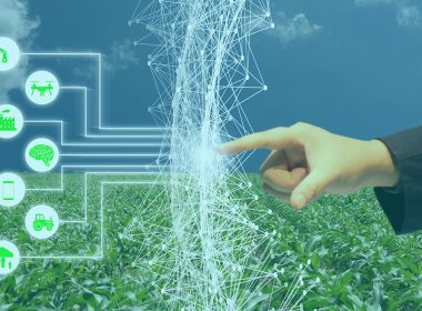 The Role of IoT in Smart Agriculture