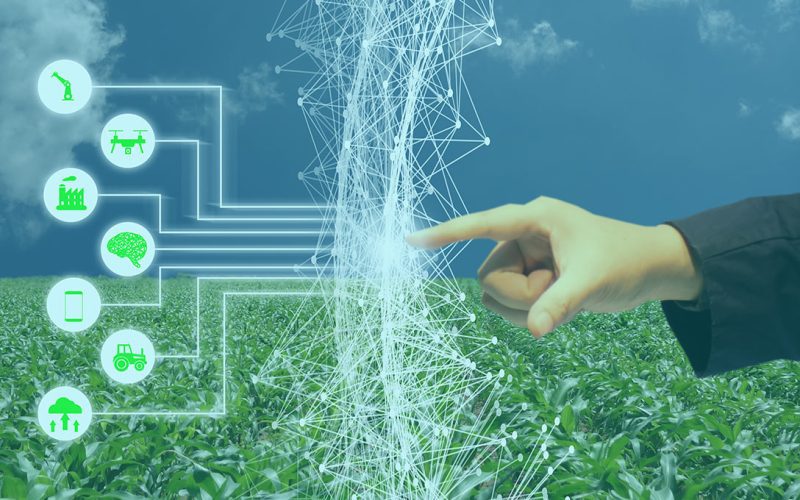 The Role of IoT in Smart Agriculture