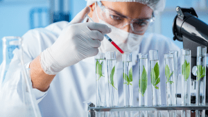 Biotechnology Breakthroughs: From Lab to Market