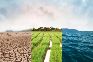 The Role of Technology in Climate Change Mitigation