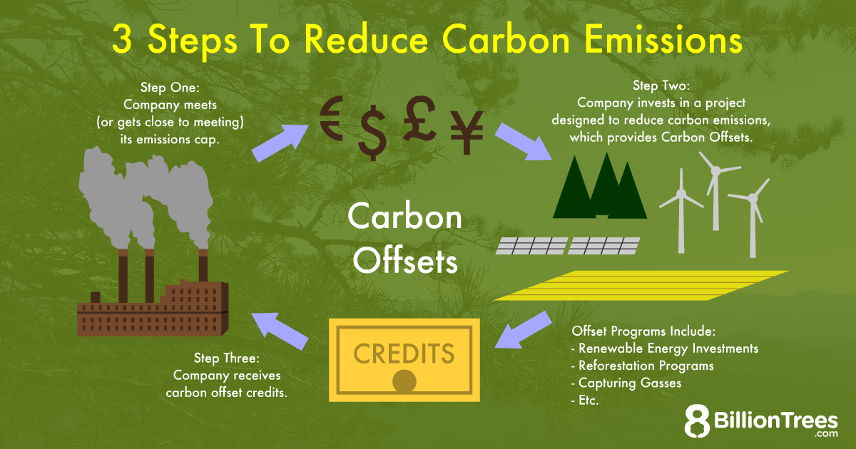 How to Reduce Your Carbon Footprint?