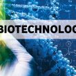 Biotechnology Breakthroughs: From Lab to Market