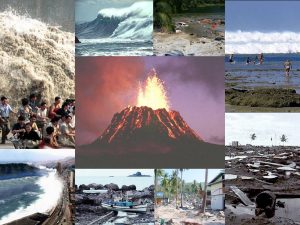 Natural Disasters and Supply Chains