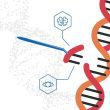 Revolutionary Gene Therapy for Muscular Dystrophy