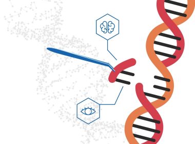 Revolutionary Gene Therapy for Muscular Dystrophy