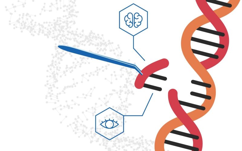 Revolutionary Gene Therapy for Muscular Dystrophy