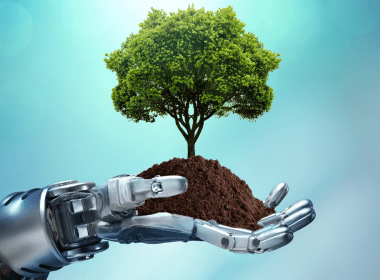 The Role of AI in Environmental Conservation