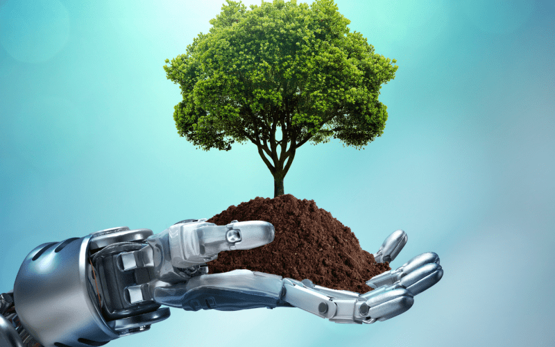 The Role of AI in Environmental Conservation