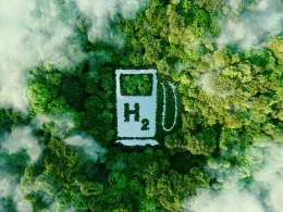 Green Hydrogen Production