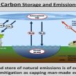 The Role of AI in Climate Change Mitigation Strategies