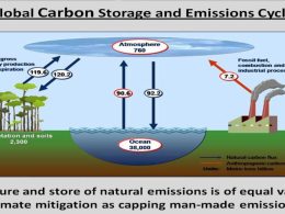 The Role of AI in Climate Change Mitigation Strategies