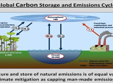 The Role of AI in Climate Change Mitigation Strategies