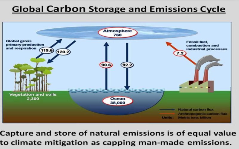 The Role of AI in Climate Change Mitigation Strategies