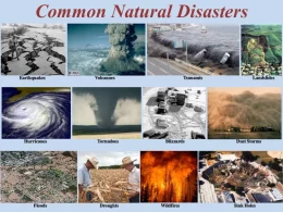 How Recent Natural Disasters are Affecting Global Supply Chains