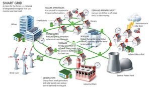 The future of smart grids