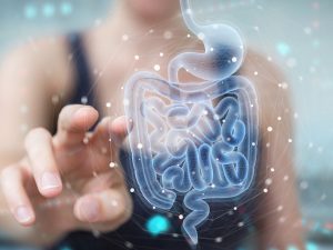 The Role of Probiotics in Gut Health