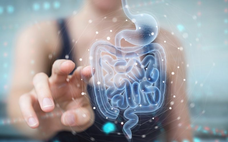 The Role of Probiotics in Gut Health