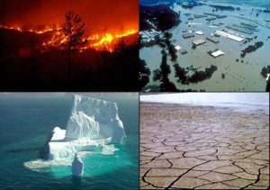 Climate Change Adaptation Strategies