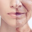 Trends in Anti-Aging Research: Extending Healthy Lifespan