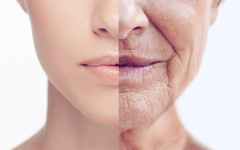 Trends in Anti-Aging Research: Extending Healthy Lifespan