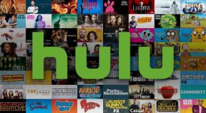 Hulu Digital Media Companies