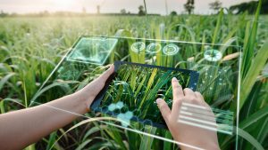 AI in Agriculture