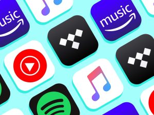 Music Streaming Services