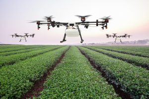 AI in Agriculture