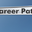 The Best Career Paths for the Future