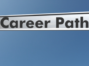 The Best Career Paths for the Future