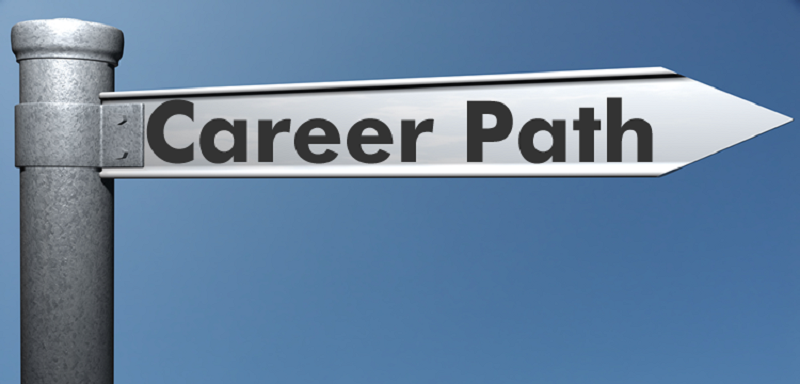 The Best Career Paths for the Future