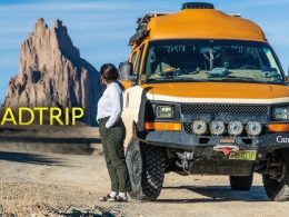 Road Trips for Wildlife Enthusiasts