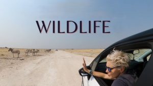 Road Trips for Wildlife Enthusiasts