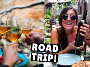 Best Road Trips for Wine Lovers