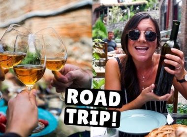 Best Road Trips for Wine Lovers