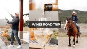 Best Road Trips for Wine Lovers