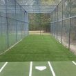 turf