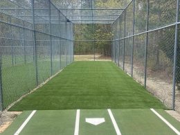 turf