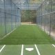 turf