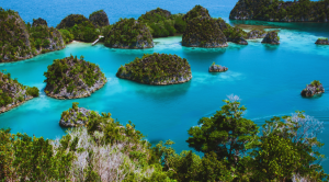 Hidden Gems: Budget-Friendly Eco-Tourism Spots for 2025