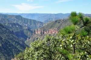 Hidden Gems: Budget-Friendly Eco-Tourism Spots for 2025