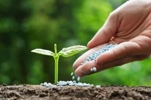 How to Cultivate a Thriving Indoor Herb Garden in Your Home!