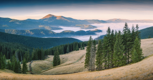 Hidden Gems: Budget-Friendly Eco-Tourism Spots for 2025