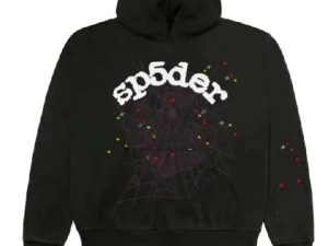 Sp5der hoodie